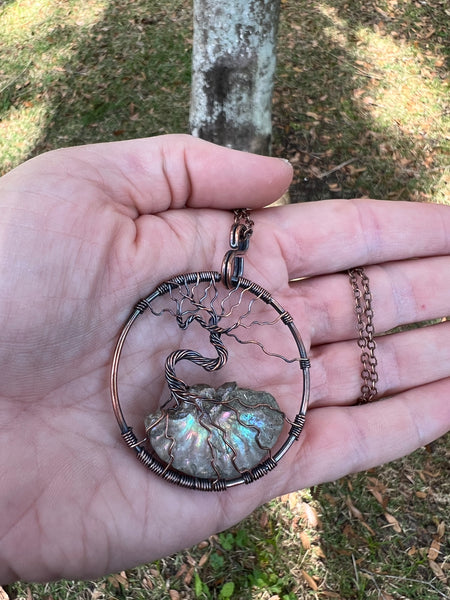 Tree of Life on large Opalized Ammonite Fossil